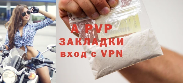 стаф Новозыбков