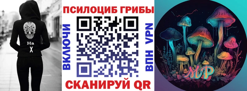 Галлюциногенные грибы Psilocybine cubensis  купить наркотик  Петровск-Забайкальский 